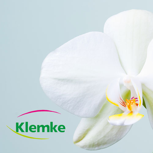 Blumen Klemke